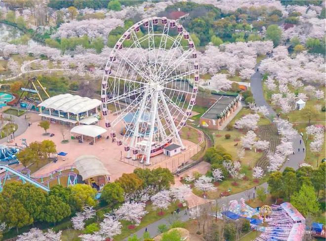 站-中建山水雅境楼盘详情-上海房天下K8凯发登录中建山水雅境2024网(图4)